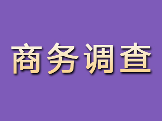 合肥商务调查